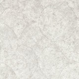 CLARKE AND CLARKE - SILVAN- PUTTY WP - Wallcovering by the Roll