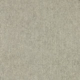 CLARKE AND CLARKE - TEXO- PEBBLE WP - Wallcovering by the Roll