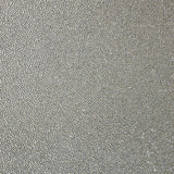 KRAVET COUTURE - MERIDIEN- GILDED - Wallcovering by the Yard