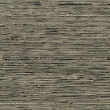 KRAVET DESIGN - KRAVET DESIGN- W3455-816 - Wallcovering by the Roll