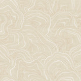 KRAVET DESIGN - KRAVET DESIGN- W3719-116 - Wallcovering by the Roll