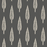 KRAVET DESIGN - KRAVET DESIGN- W3775-8 - Wallcovering by the Roll