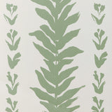 KRAVET COUTURE - CLIMBING LEAVES WP- SAGE - Wallcovering by the Roll