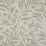KRAVET COUTURE - WISPY VINES WP- LICHEN - Wallcovering by the Roll