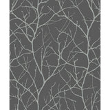 KRAVET DESIGN - KRAVET DESIGN- W4109-1121 - Wallcovering by the Roll