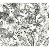 KRAVET DESIGN - KRAVET DESIGN- W4131-8 - Wallcovering by the Roll