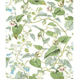 KRAVET DESIGN - KRAVET DESIGN- W4132-31 - Wallcovering by the Roll