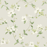 KRAVET DESIGN - KRAVET DESIGN- W4137-106 - Wallcovering by the Roll