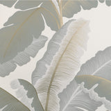 KRAVET COUTURE - ISLA ROYAL WP- MIST - Wallcovering by the Roll