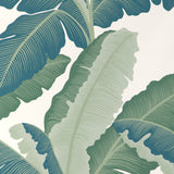 KRAVET COUTURE - ISLA ROYAL WP- AZURE - Wallcovering by the Roll
