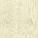 KRAVET DESIGN - KRAVET DESIGN- W4168-106 - Wallcovering by the Roll