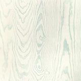 KRAVET DESIGN - KRAVET DESIGN- W4168-15 - Wallcovering by the Roll