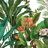 KRAVET DESIGN - KRAVET DESIGN- W4180-312 - Wallcovering by the Piece