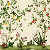 KRAVET DESIGN - KRAVET DESIGN- W4184-314 - Wallcovering by the Piece