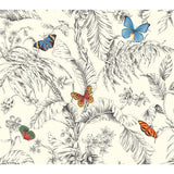 KRAVET DESIGN - KRAVET DESIGN- W4234-814 - Wallcovering by the Roll