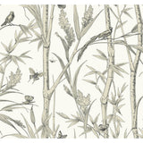 KRAVET DESIGN - KRAVET DESIGN- W4238-106 - Wallcovering by the Roll