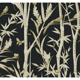 KRAVET DESIGN - KRAVET DESIGN- W4238-84 - Wallcovering by the Roll