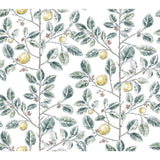 KRAVET DESIGN - KRAVET DESIGN- W4241-354 - Wallcovering by the Roll