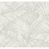 KRAVET DESIGN - KRAVET DESIGN- W4249-11 - Wallcovering by the Roll