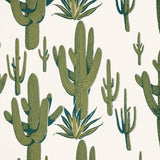 KRAVET COUTURE - CACTI LAND WP- AGAVE - Wallcovering by the Roll
