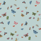 KRAVET DESIGN - KRAVET DESIGN- W4289-517 - Wallcovering by the Roll