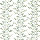 KRAVET DESIGN - KRAVET DESIGN- W4290 - Wallcovering by the Roll