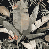 KRAVET DESIGN - KRAVET DESIGN- W4307-811 - Wallcovering by the Roll