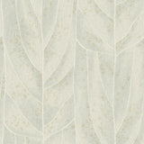 KRAVET DESIGN - KRAVET DESIGN- W4308-15 - Wallcovering by the Roll