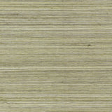 KRAVET COUTURE - RAFFIA WP- 4765 - Wallcovering by the Roll