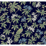 KRAVET DESIGN - KRAVET DESIGN- W4413-50 - Wallcovering by the Roll