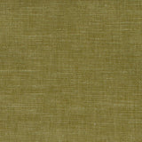 WILKES - GREEN TEA - Mag Fabrics - Fabric By The Yard