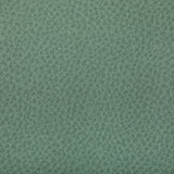 KRAVET CONTRACT - WOOLF- JULEP - Fabric by the Yard