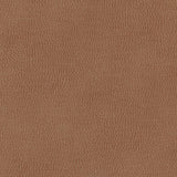 Maxwell - TOP GRAIN-NJ - ARABIAN - Fabric by the Yard