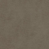 Maxwell - TOP GRAIN-NJ - CAMPOLINA - Fabric by the Yard