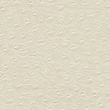 Maxwell - TWITTER-NJ - DAISY - Fabric by the Yard