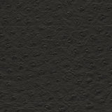 Maxwell - TWITTER-NJ - JET - Fabric by the Yard