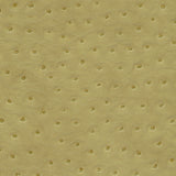 Maxwell - TWITTER-NJ - LETTUCE - Fabric by the Yard