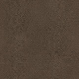 Maxwell - TOP GRAIN-NJ - PENCIL - Fabric by the Yard