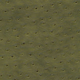 Maxwell - TWITTER-NJ - SAGE - Fabric by the Yard