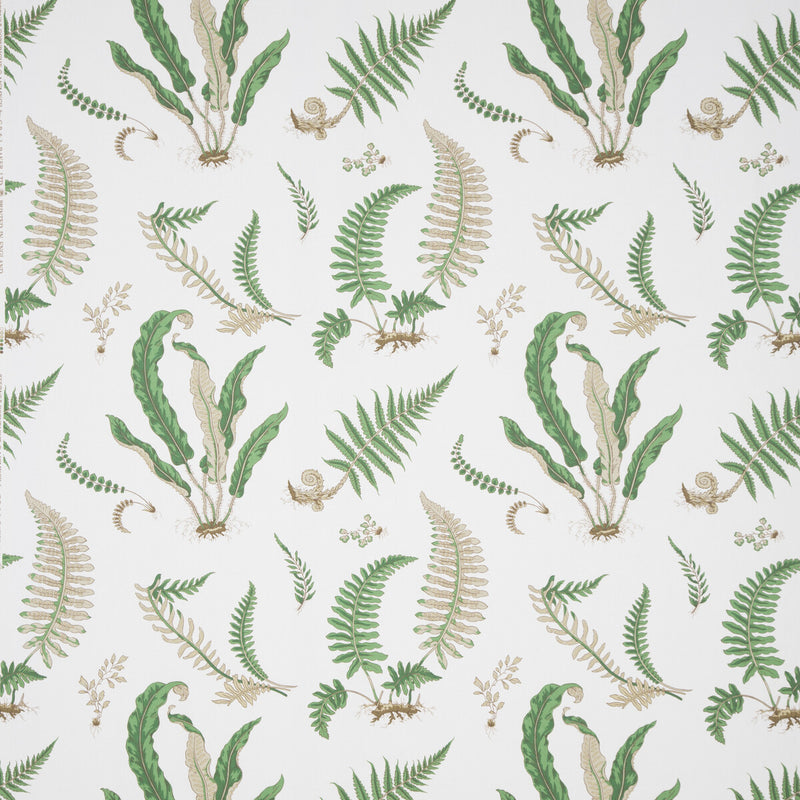 LEE JOFA - 031032- 01 - Fabric by the Yard 01
