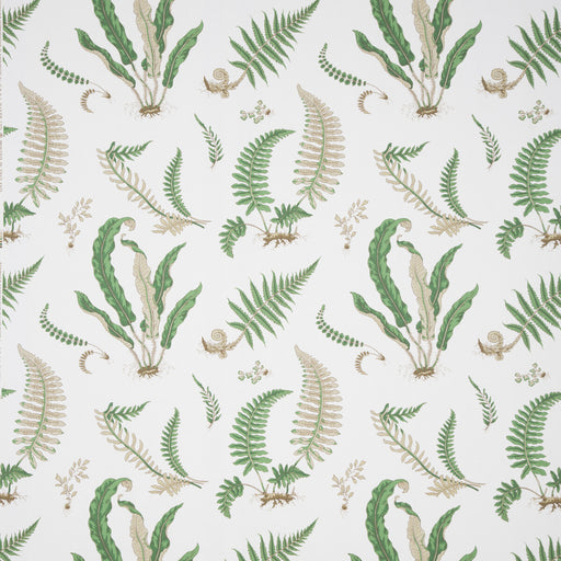 LEE JOFA - 031032- 01 - Fabric by the Yard 01