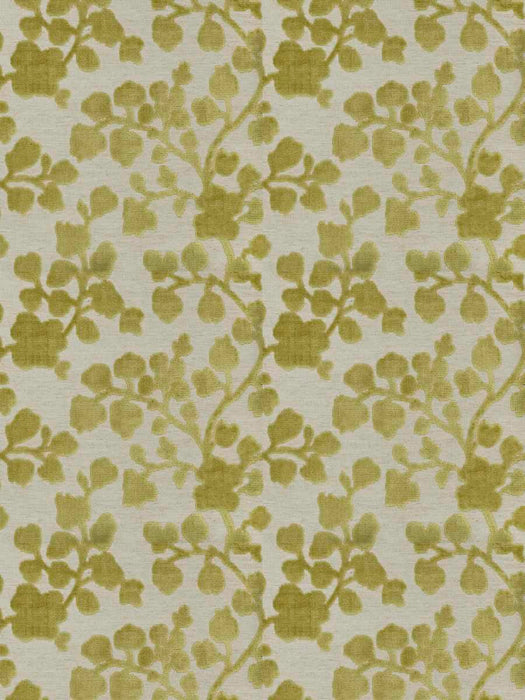 FTS-04482 - Fabric By The Yard - Samples Available by Request - Fabrics and Drapes