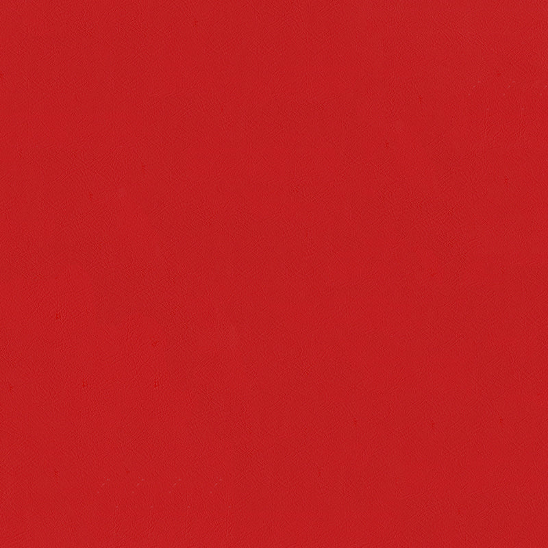Jackson-# 611 poppy