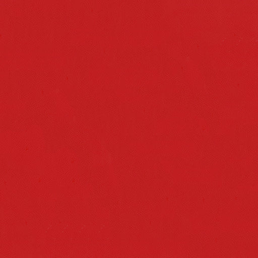 Jackson-# 611 poppy