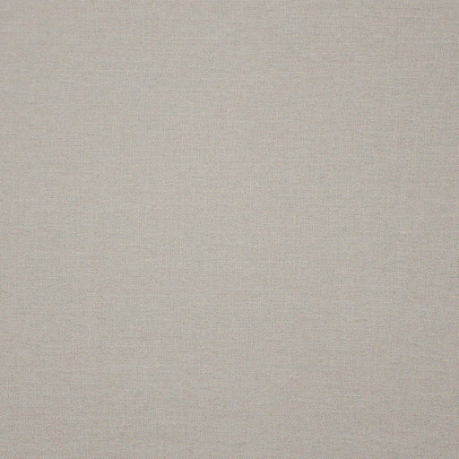 Yoji-# 503 feather
