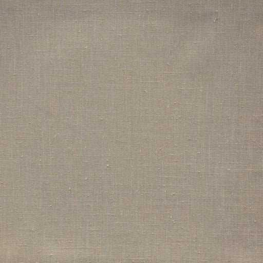 Citizen-# 643 cashew