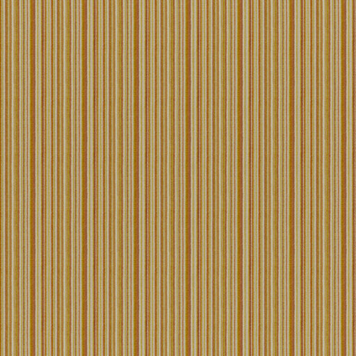 Rio grande-# 533 gold