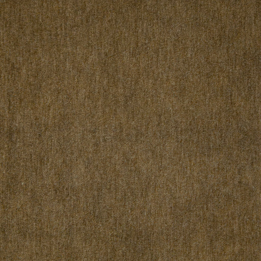 Belluno-# 119 bark