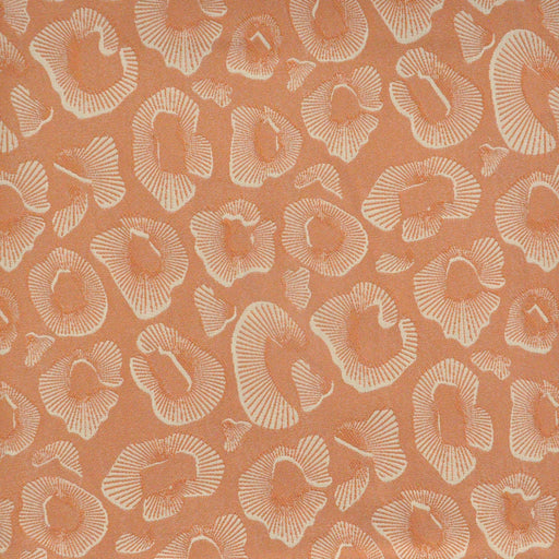 Coquina-# 919 peach