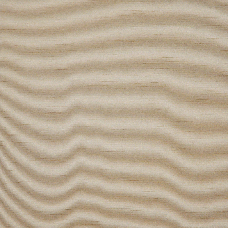 Apollonia-# 561 almond